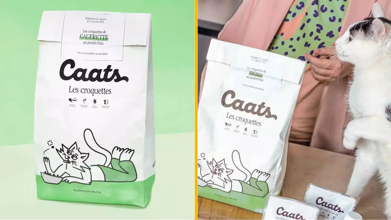 CROQUETTES-CHAT-CAATS
