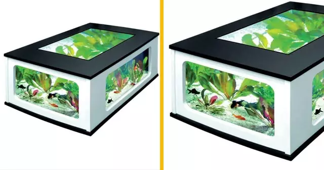 table-aquarium