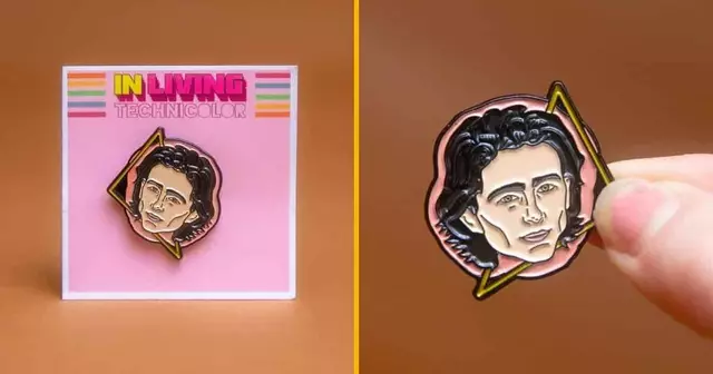 pins-timothee-chalamet