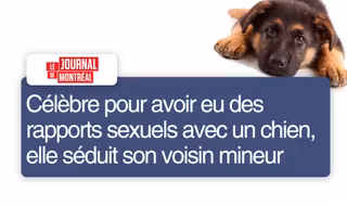 une_ajustetitre_chien