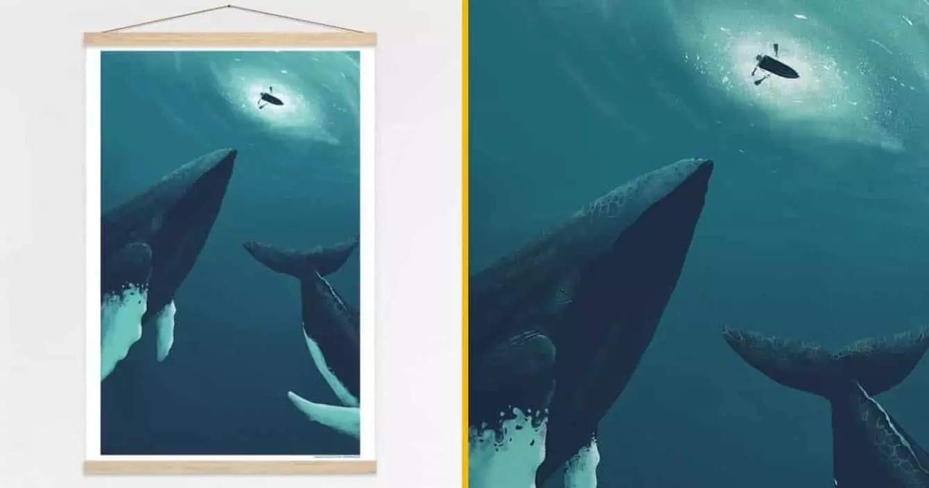 illustration-baleine