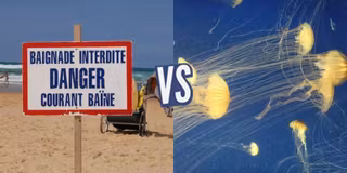 battle-386912-1434976709