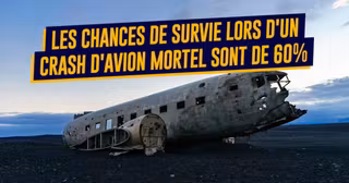 une_crash_stats_savoirs_fascinants