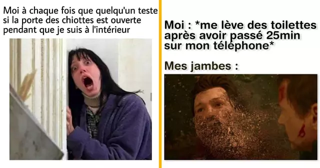 top memes toilettes