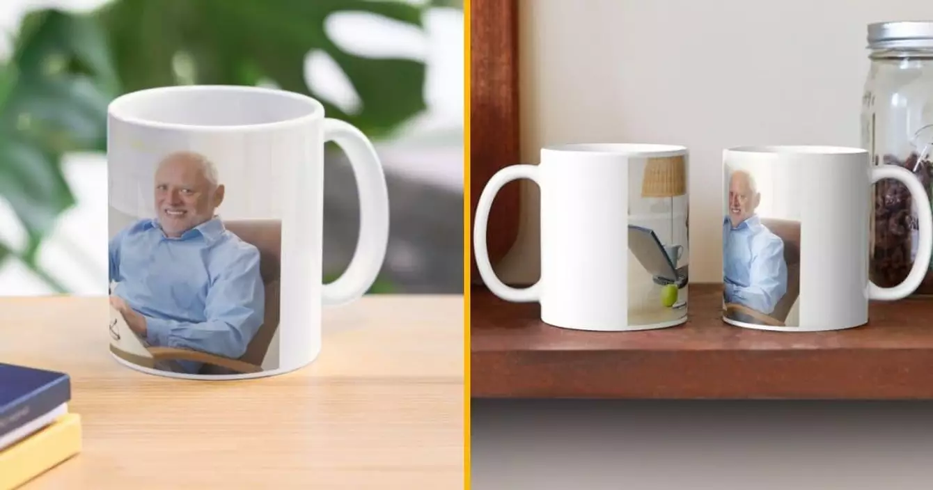 mug-hide-the-pain-harold