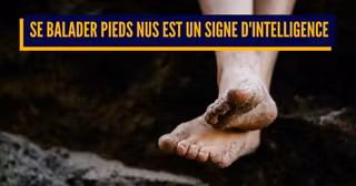 pieds