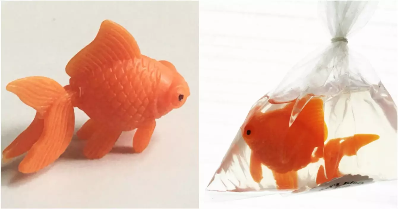 goldfishsoap