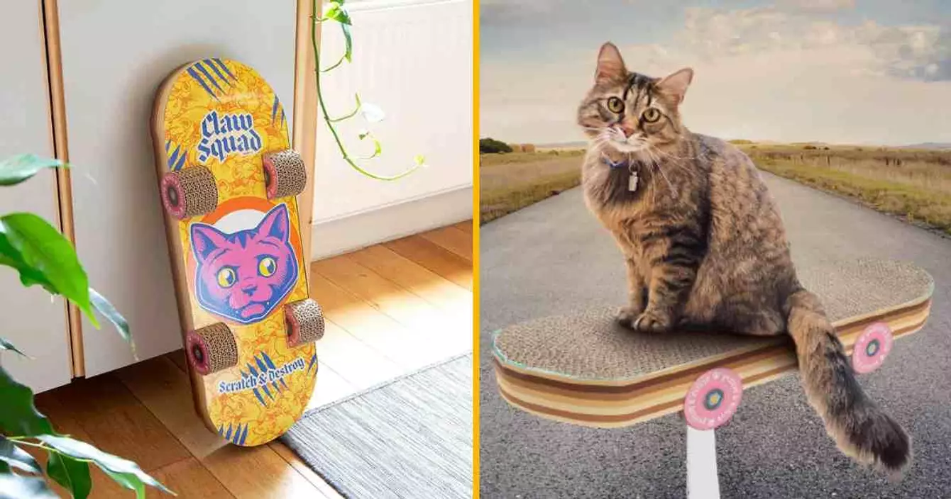 griffoir-chat-skateboard-