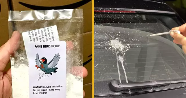 UNES_shopping_faux-caca-pigeon