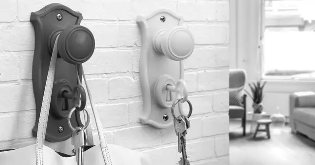 61cwlbukzdl-_sl1224_