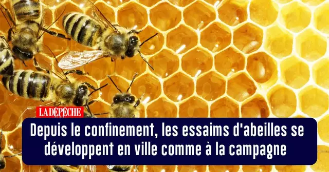 BONNES_NOUVELLES_04MAI