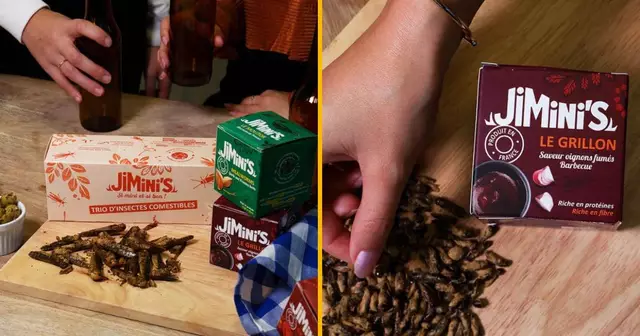 insectes-comestibles-apero-appetissant