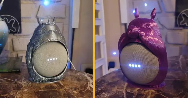 support-totoro-google-home