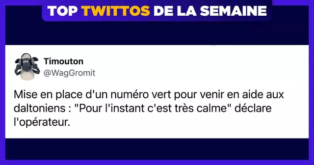 une-top-twittos-timouton