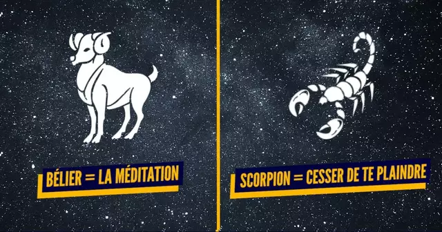 UNE_CHANGEMENT_SIGNE_ASTRO_SKODA2