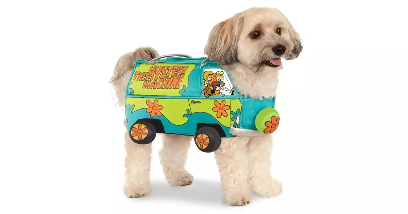 chien-deguisement-van