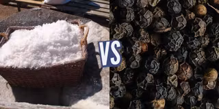 battle-415710-1446655601