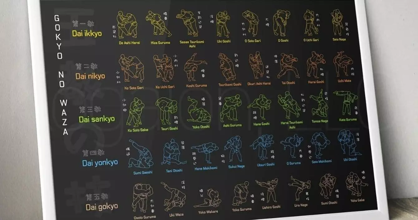 affiche-lancers-judo