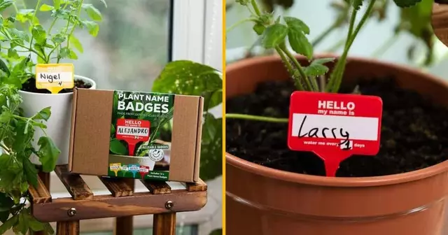 etiquettes-donner-nom-plante-arroser-jose