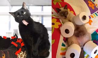 photogenique-cht-une