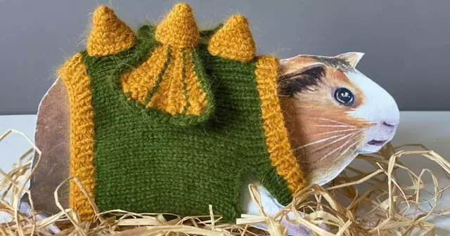 costume-dinosaure-petit-rongeur