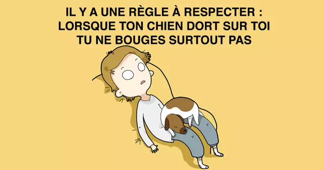 illustration-chien-personnes-ont