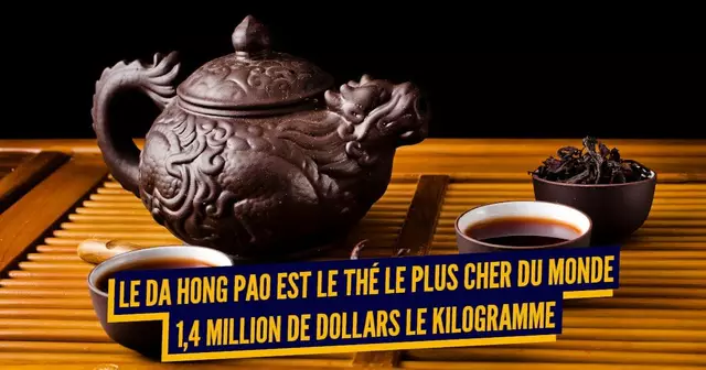 80847708_561821054368140_8174157018735575040_n