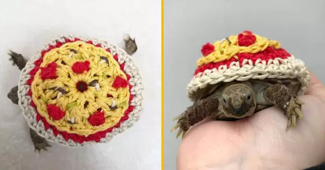 deguisement-tortue-pizza