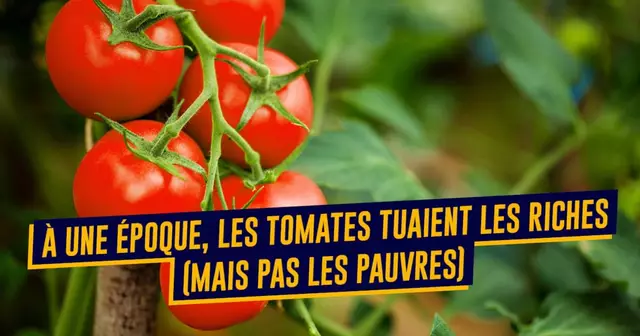 top aliments origines