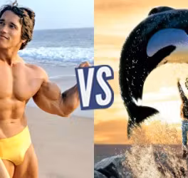 battle-341937-1418063095