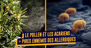 UNE_TOP_ALLERGIES