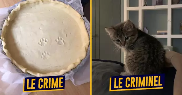 top crime criminel