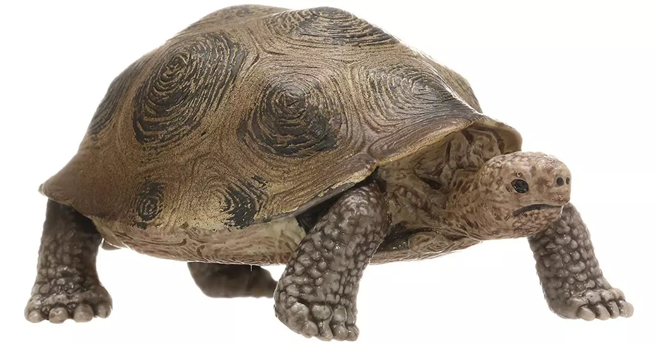 figurine-tortue