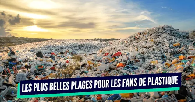 une_plages_plastique