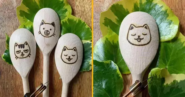 spatules-cuisine-chat