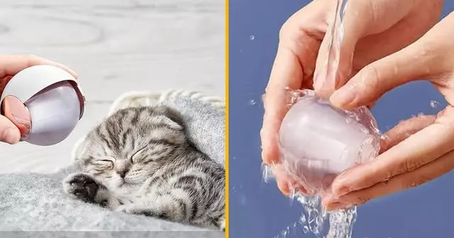 boule-anti-poil-chat