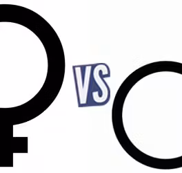 battle-365666-1427155906