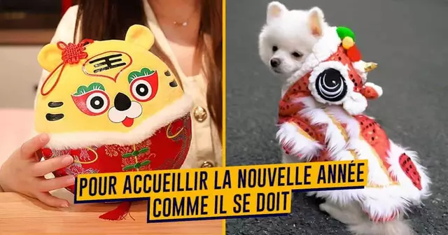 UNE_SHOPPING_nouvelanchinois