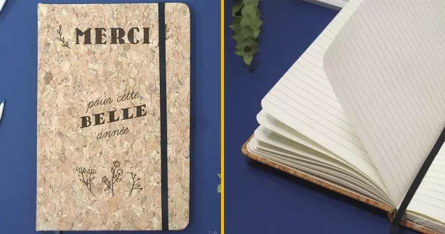 carnet-liege-maitresse