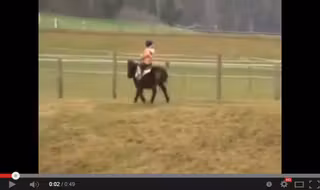 Boy falls off horse and is attacked by crazy ostrich   with subtitles   YouTube