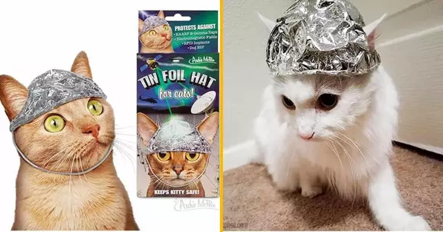 chapeau-aluminium-chat-pour-que-personne-infiltre-ses-pensees