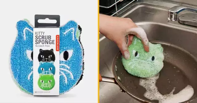 ensemble-eponges-chat