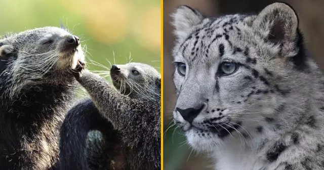 places-menagerie-zoo-jardin-plantes