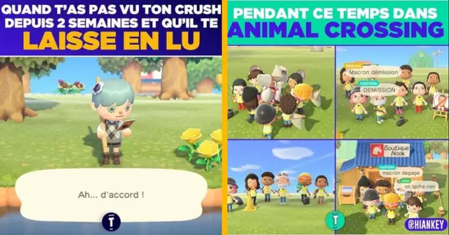 UNE_MEMES_ANIMALCROSSING
