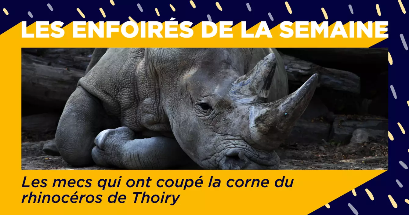 TEMPLATE-ENFOIRES-DE-LA-SEMAINE_1