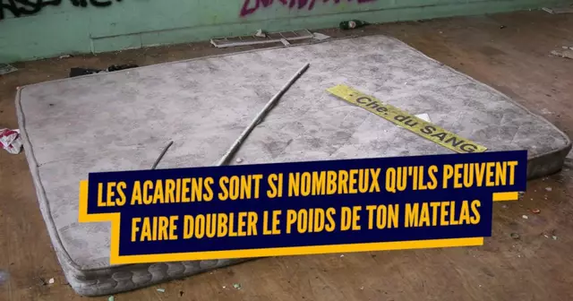 une_matelas