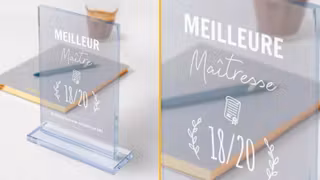 TROPHEE-MEILLEUR-MAITRE