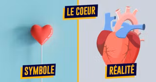 coeur