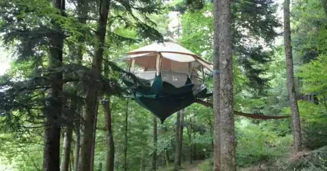 cabane-toile-suspendue-arbres-alsace