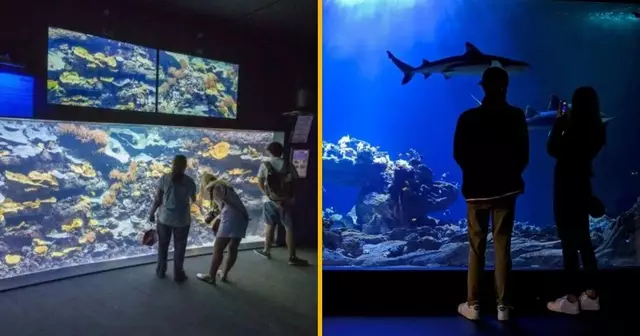 visite-nocturne-aquarium-paris